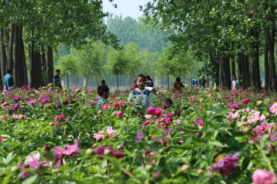 （菏澤市東明黃河森林公園。圖片來(lái)源：菏澤市攝影家協(xié)會(huì)）